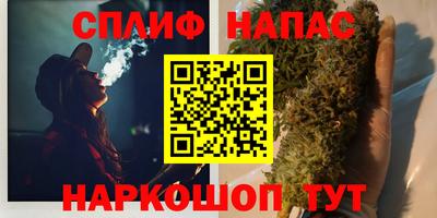 прущие грибы Пыть-Ях