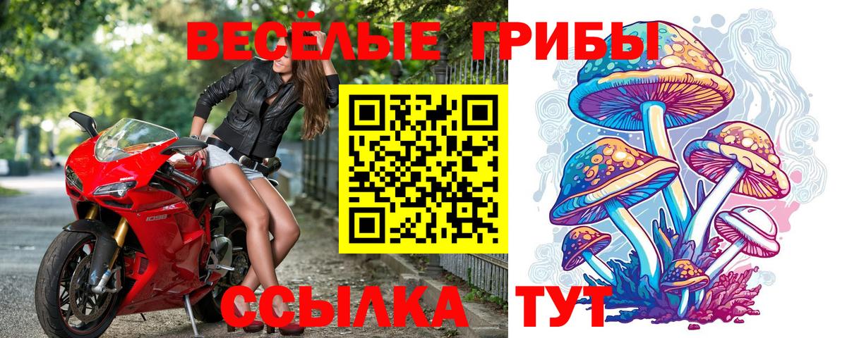 Сочи  что такое   Вход с VPN  Галлюциногенные грибы GOLDEN TEACHER 